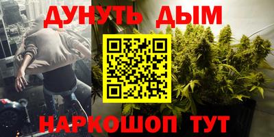 сатива Краснодар