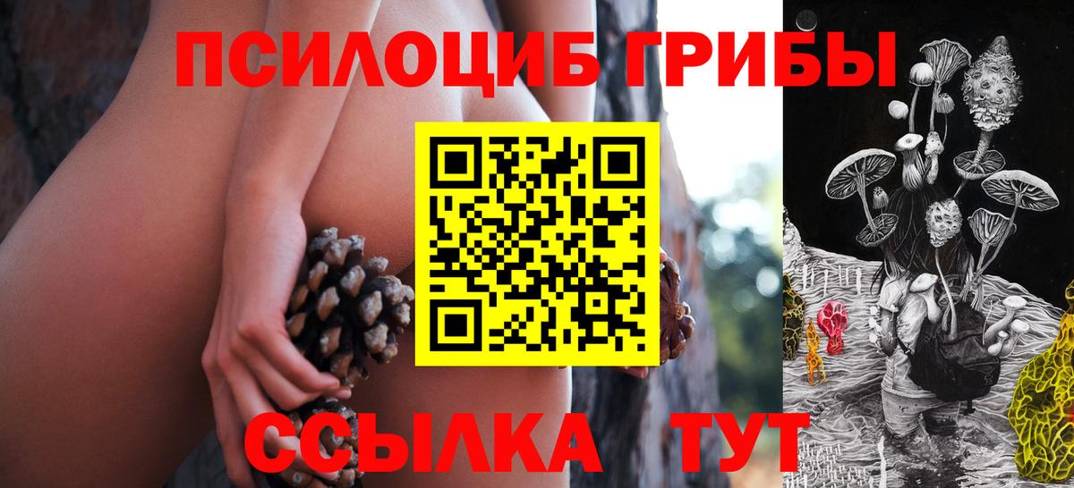 Галлюциногенные грибы мицелий Кандалакша